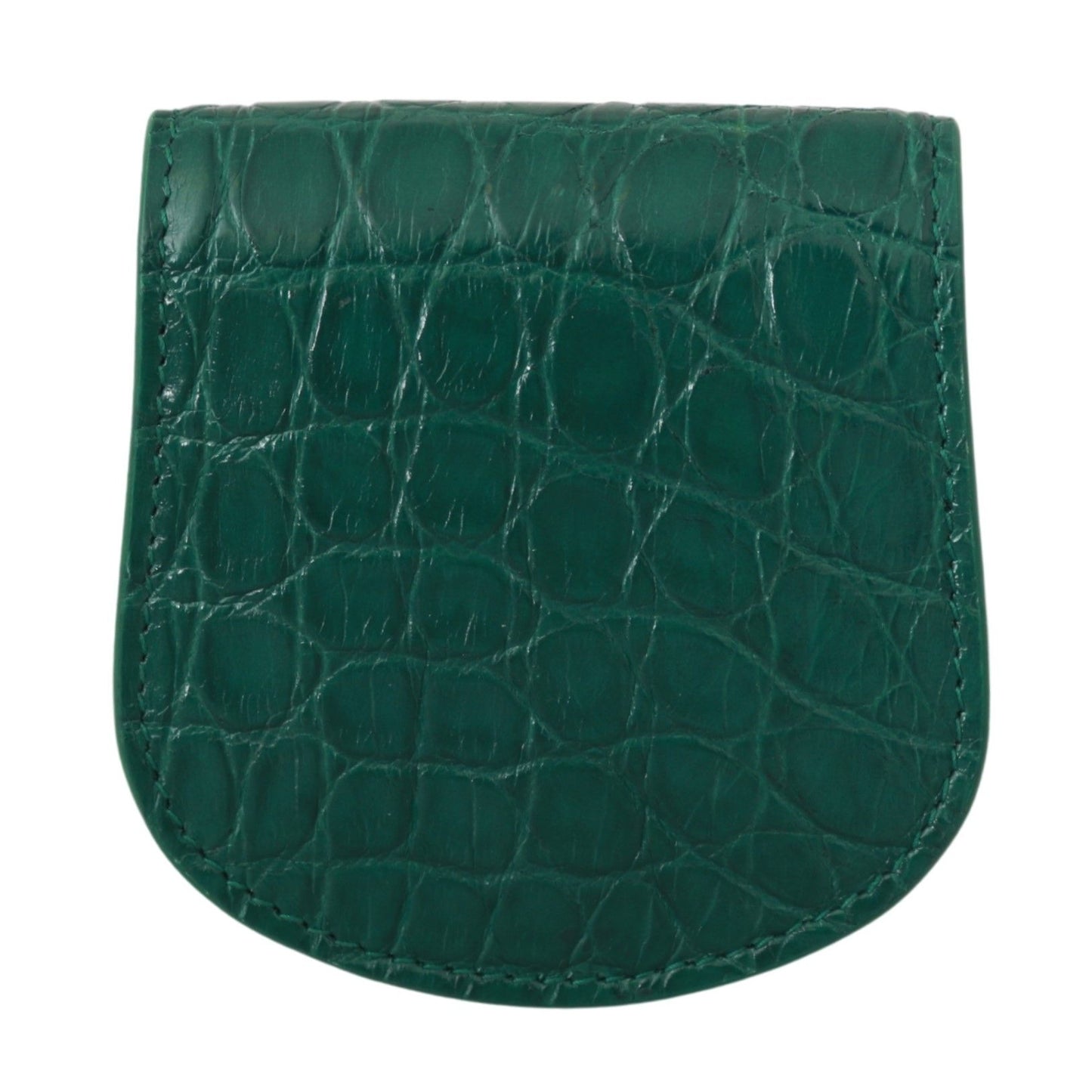 Étui portefeuille pour préservatifs Dolce & Gabbana Green Exotic Skins