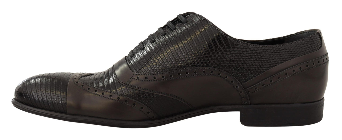 Chaussures Oxford en cuir de lézard marron de Dolce & Gabbana