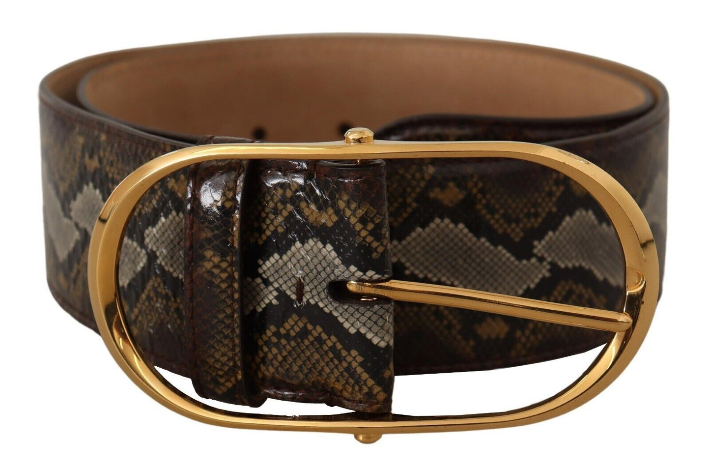 Ceinture Dolce & Gabbana en cuir de python marron avec boucle ovale dorée