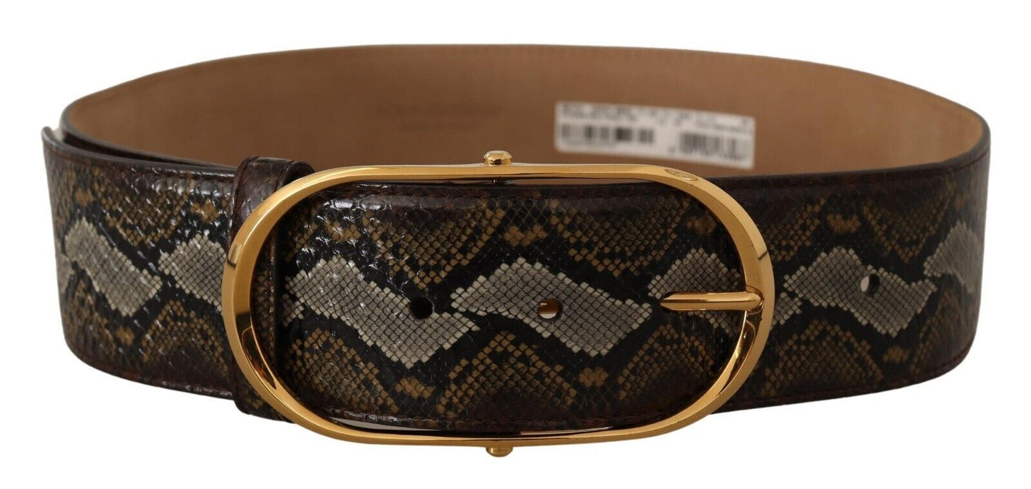 Ceinture Dolce & Gabbana en cuir de python marron avec boucle ovale dorée