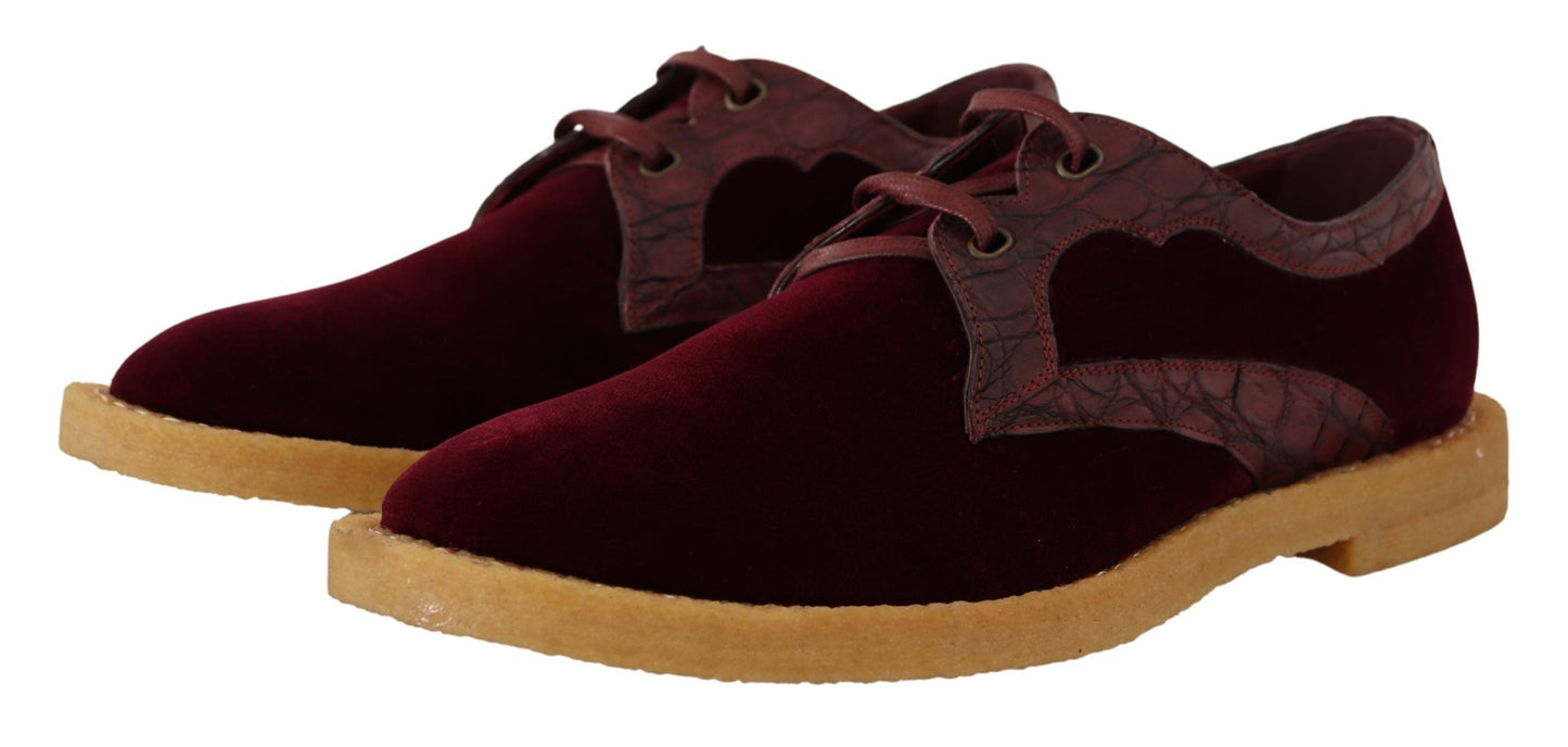 Chaussures en cuir exotique velouté bordeaux de Dolce & Gabbana