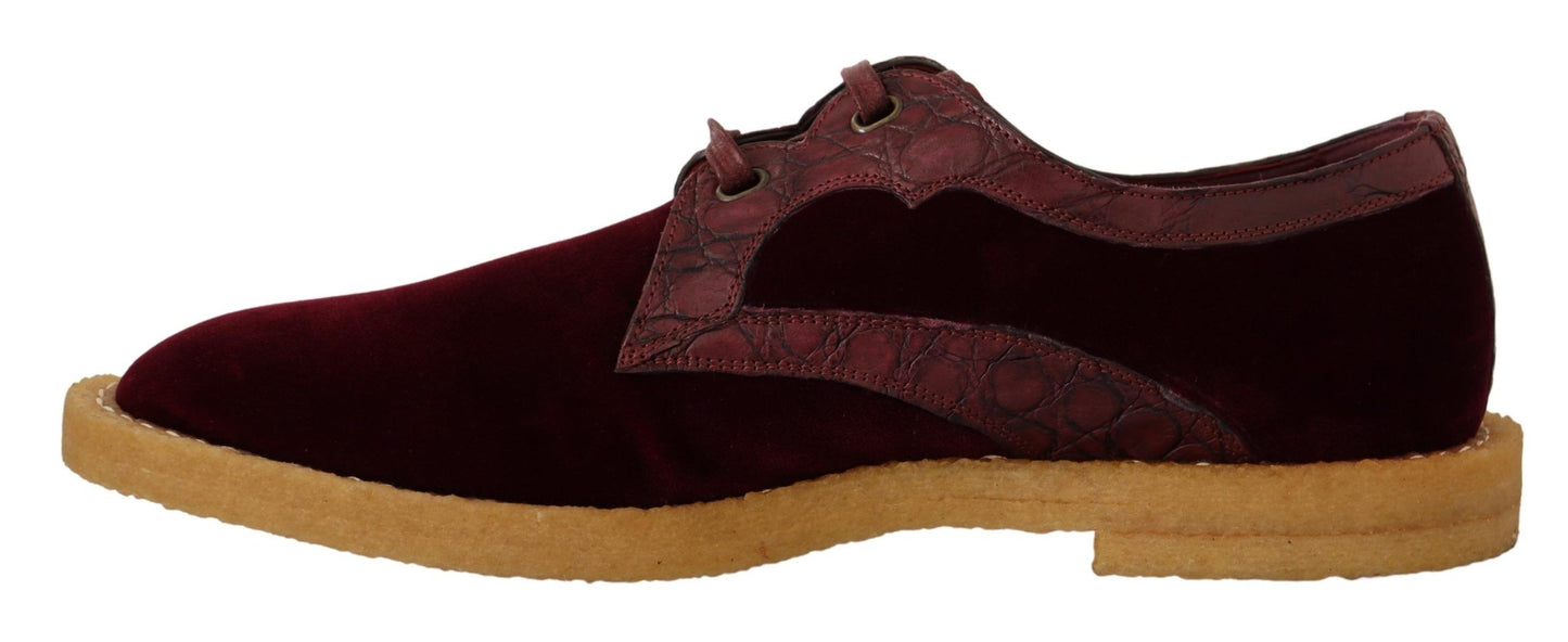 Chaussures en cuir exotique velouté bordeaux de Dolce & Gabbana