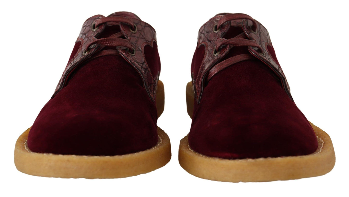 Chaussures en cuir exotique velouté bordeaux de Dolce & Gabbana