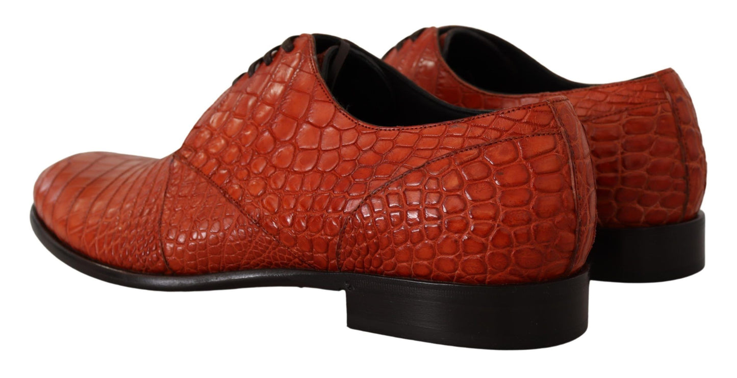 Derbies en cuir exotique orange de Dolce & Gabbana