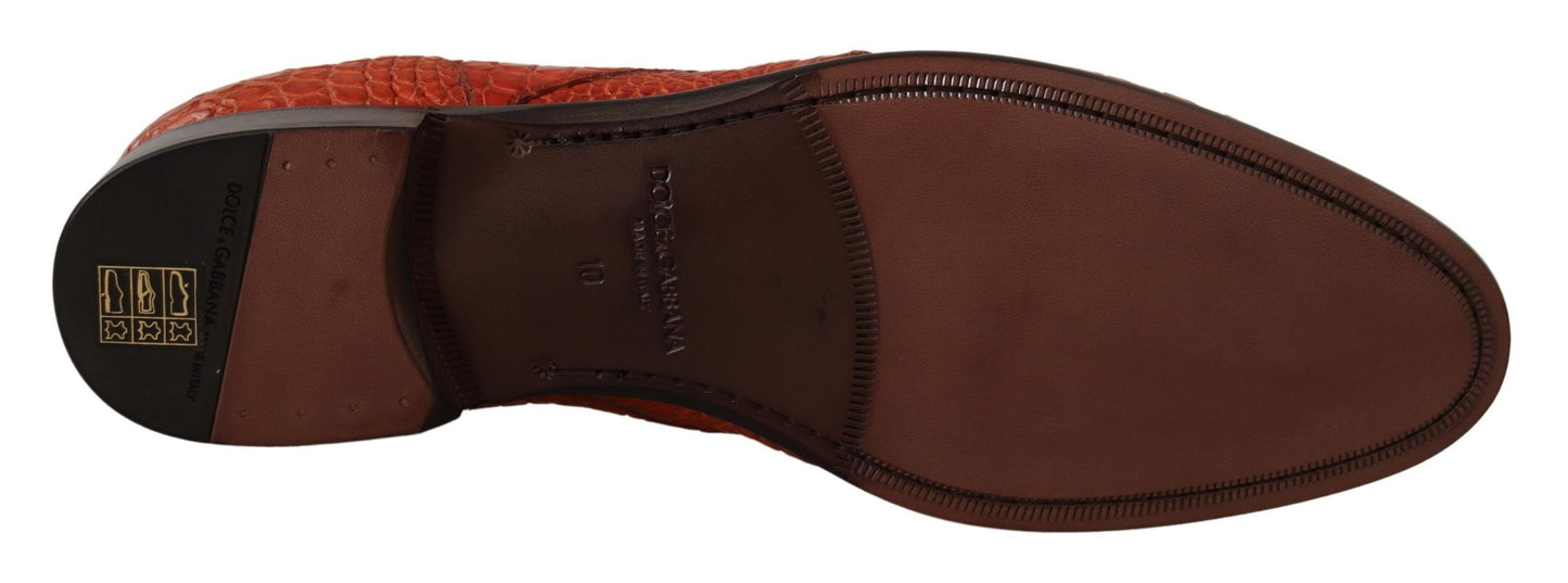 Derbies en cuir exotique orange de Dolce & Gabbana