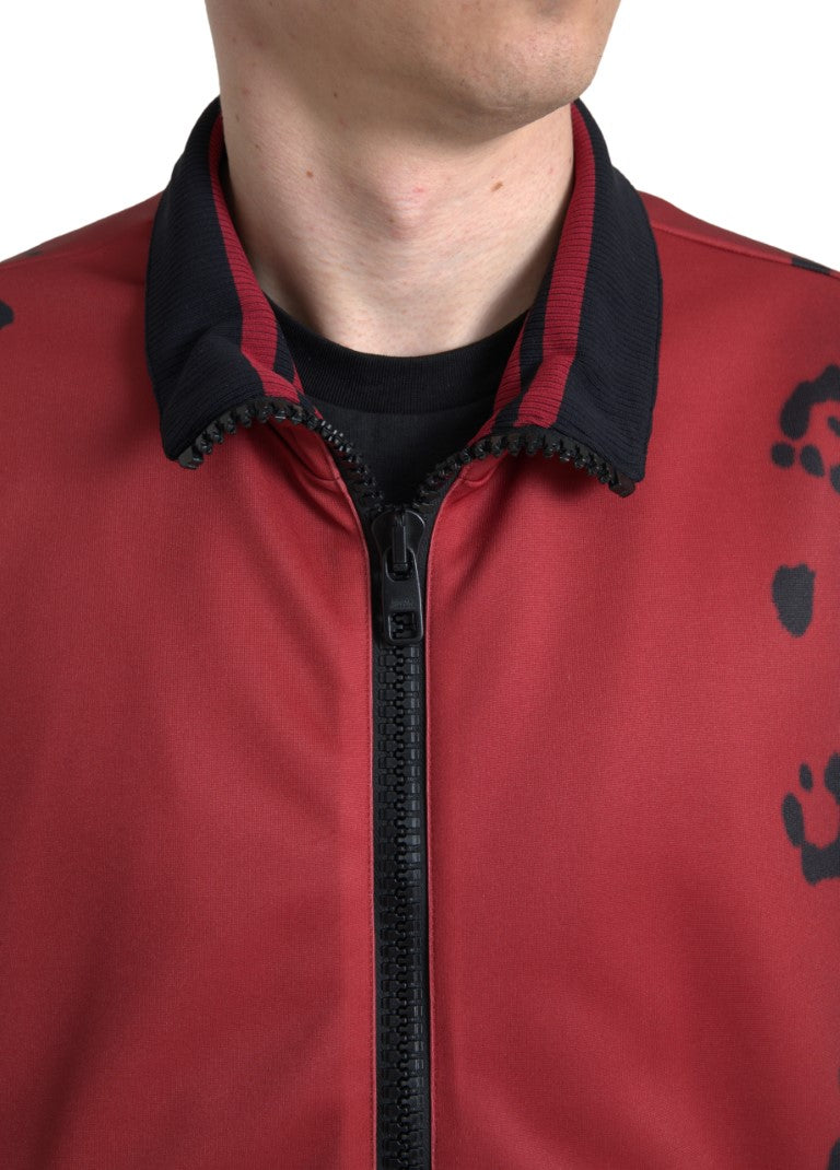 Veste bomber à fermeture éclair intégrale en polyester rouge léopard Dolce & Gabbana