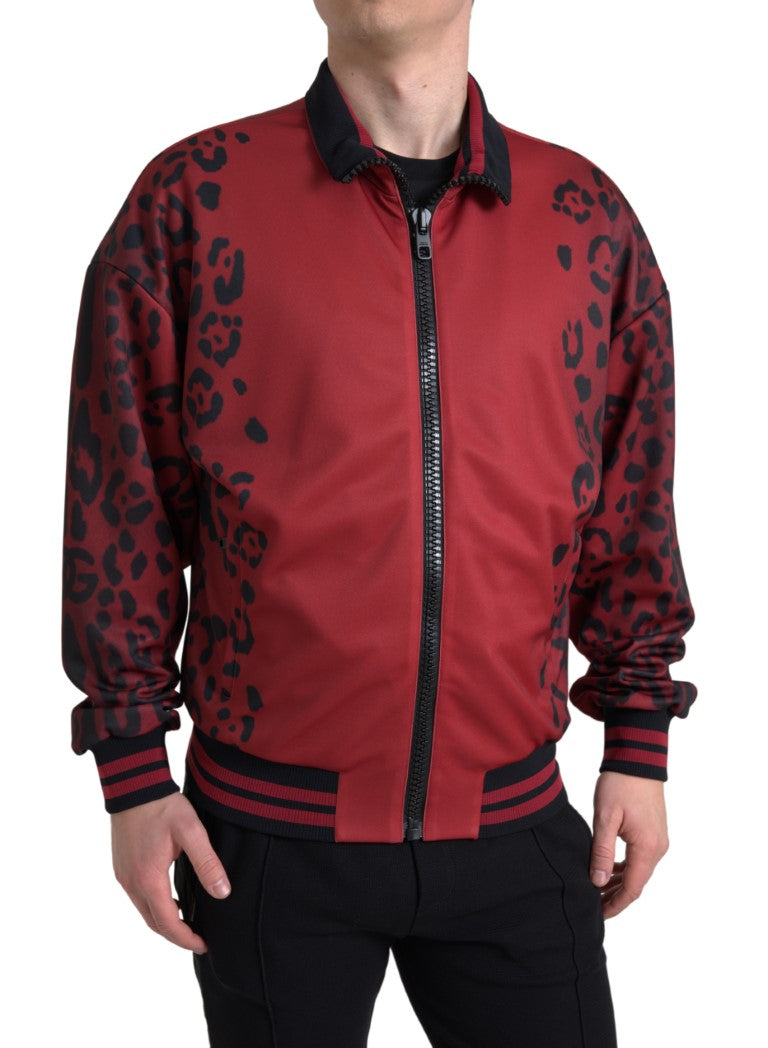Veste bomber à fermeture éclair intégrale en polyester rouge léopard Dolce & Gabbana