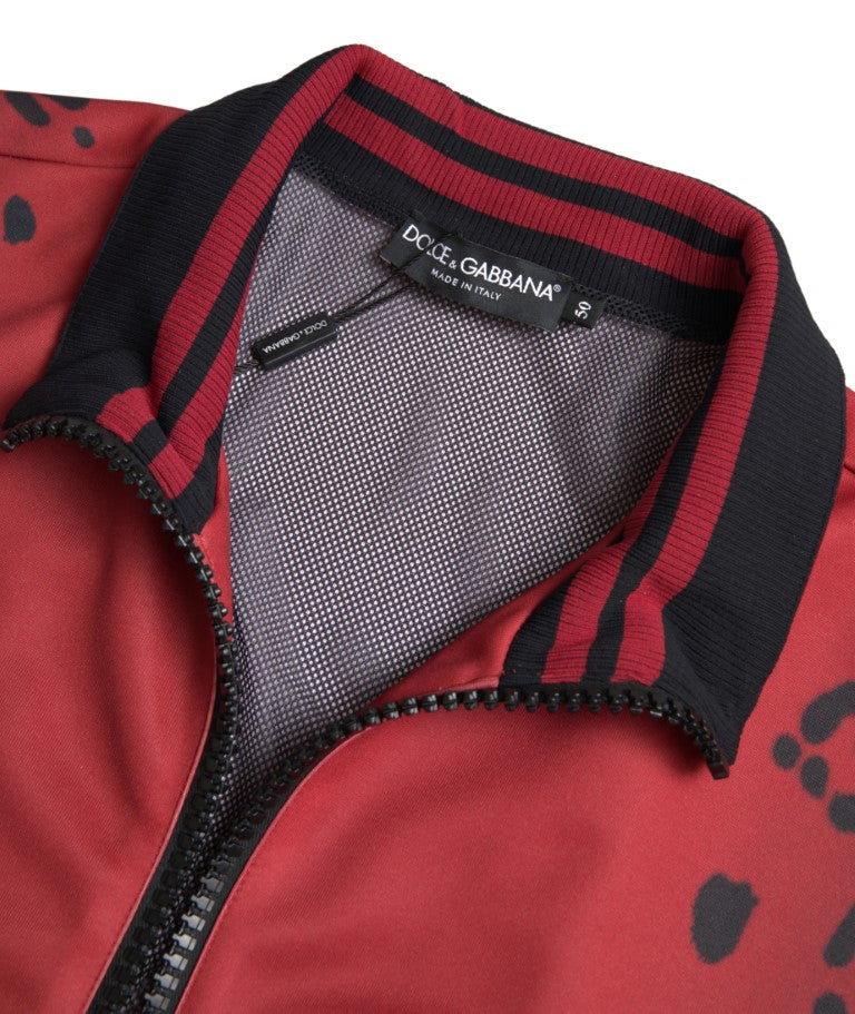 Veste bomber à fermeture éclair intégrale en polyester rouge léopard Dolce & Gabbana
