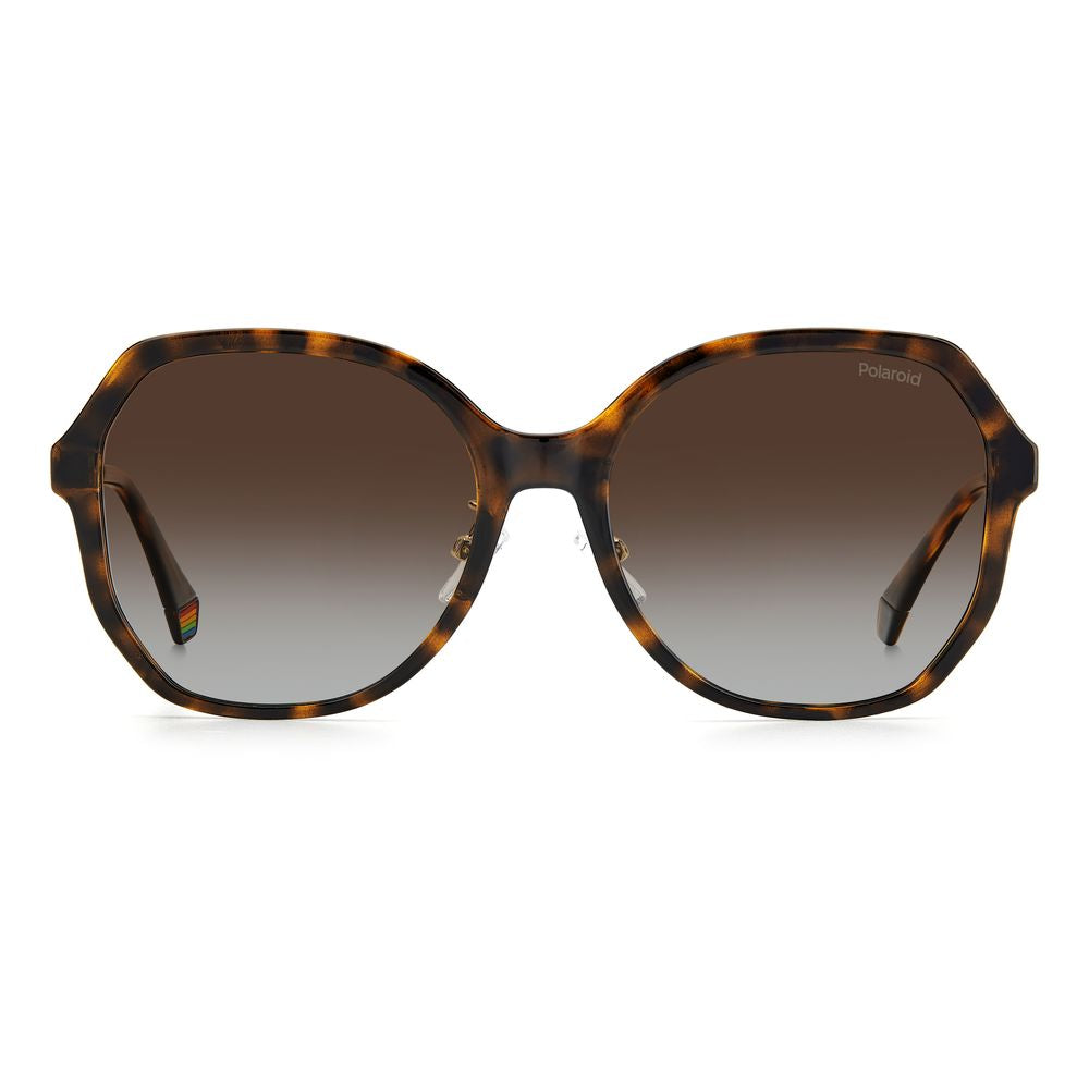 Lunettes de soleil Polaroid en plastique marron
