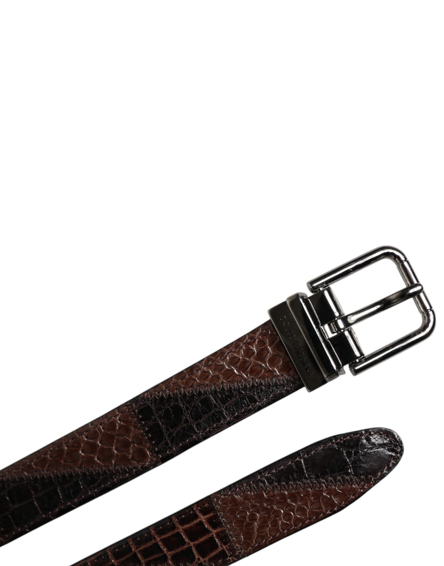 Dolce & Gabbana Bruine Exotische Lederen Metalen Logo Gesp Riem