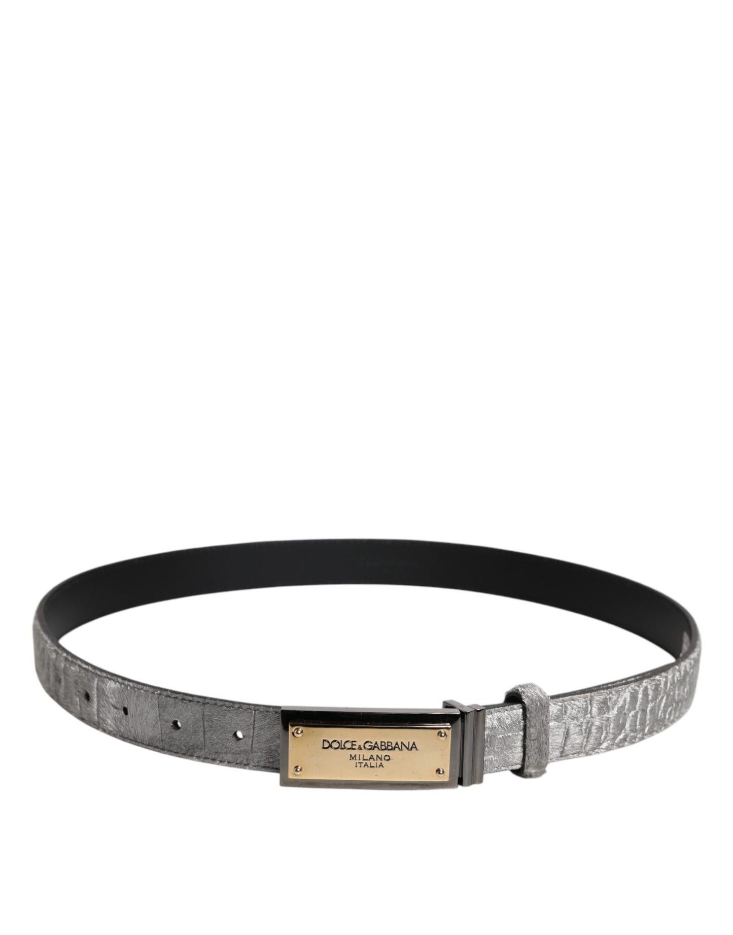 Dolce & Gabbana Zilveren Klassieke Gouden Logo Plaque Gesp Riem