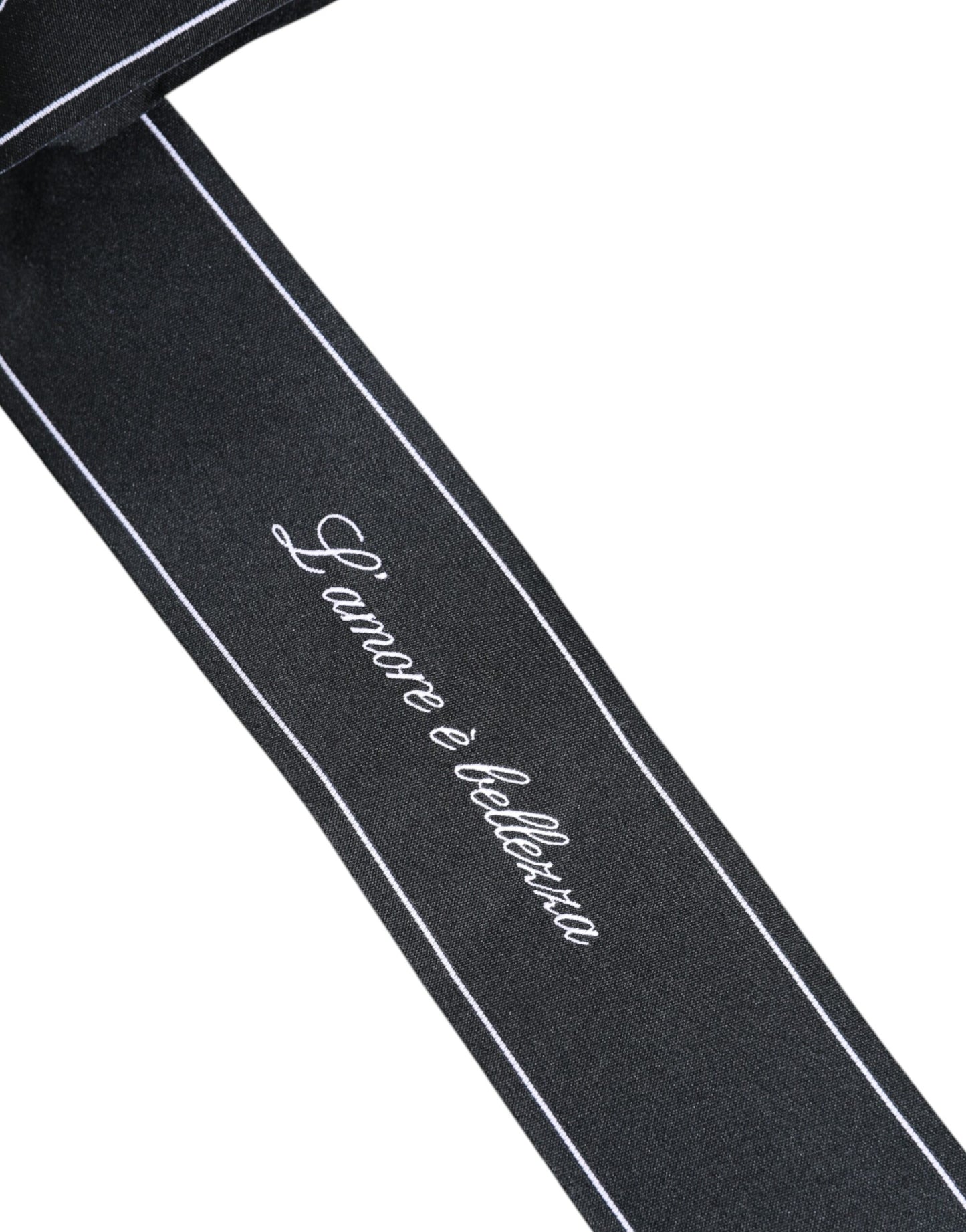 Dolce & Gabbana Zwarte Tailleband Brede Strik Logo Riem