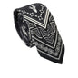 Cravate en soie noire et blanche Dolce &amp; Gabbana