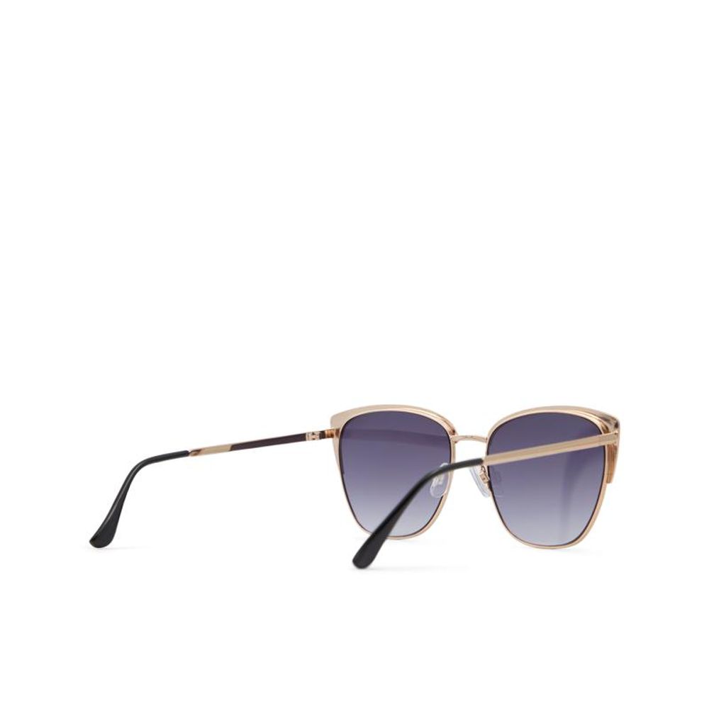 ALDO Multicolor Polycarbonate Sunglasses for Women