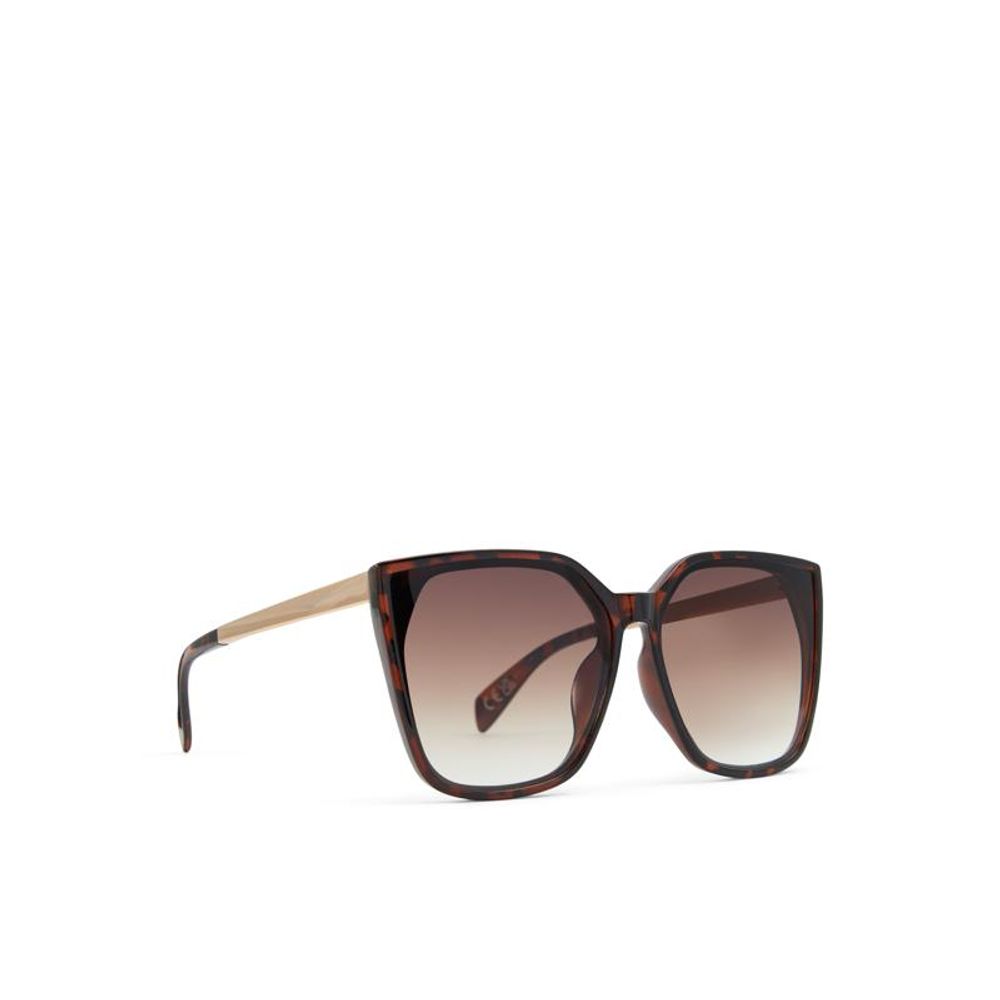 ALDO Brown Polycarbonate Sunglasses for Women