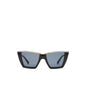 ALDO Multicolor Polycarbonate Sunglasses