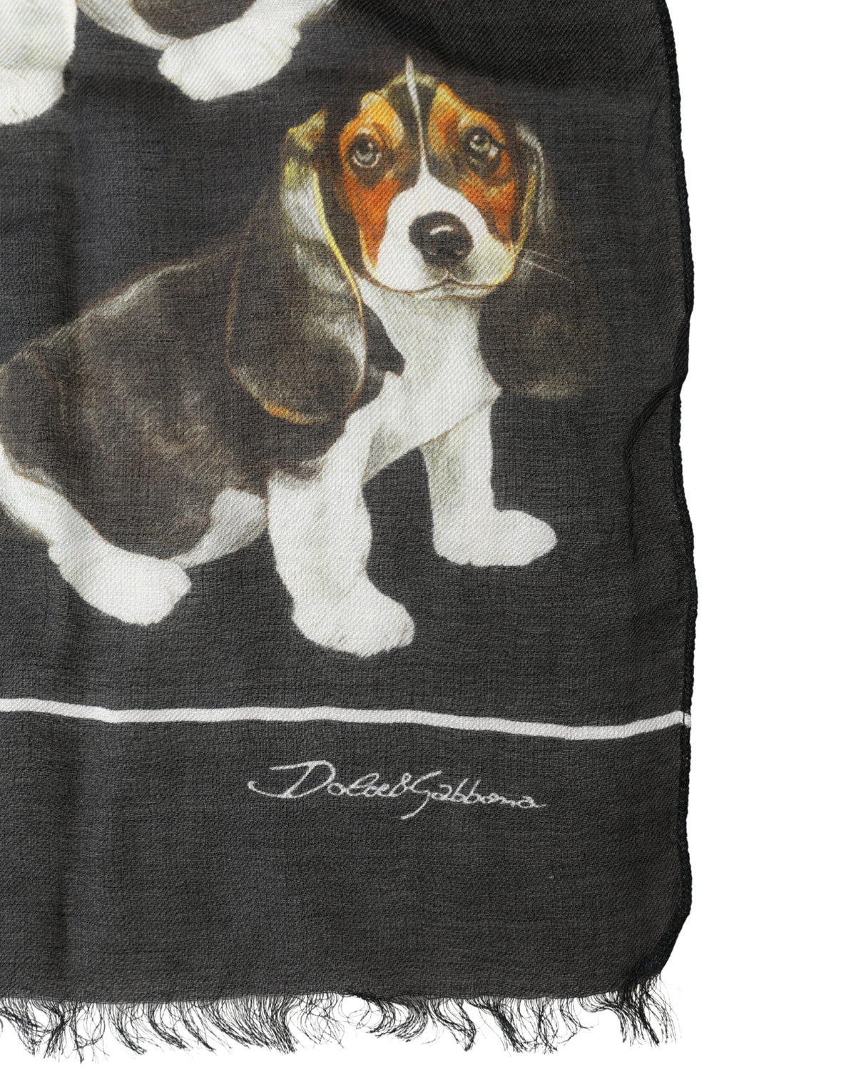 Écharpe Dolce &amp; Gabbana en laine modale noire à imprimé chien et franges, 178 cm x 64 cm