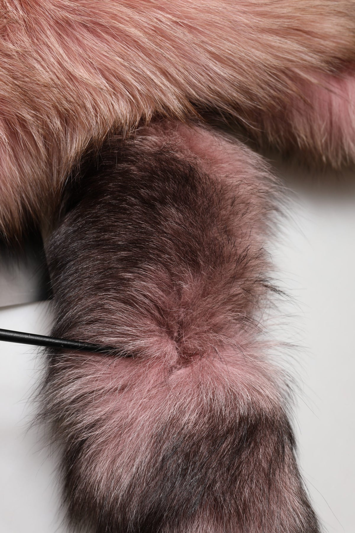 Dolce & Gabbana Pink Frost Fox Fur Neck Warmer Scarf