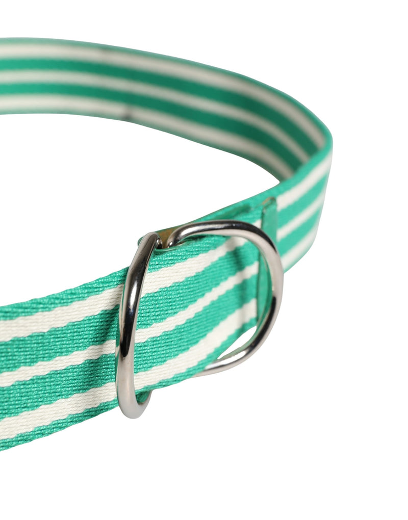 Red Valentino Ceinture en Toile à Rayures Blanches et Vertes
