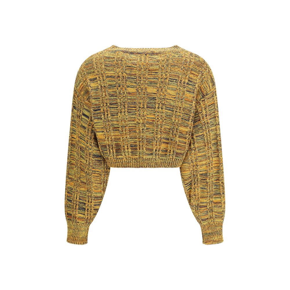 Kristina Ti Multicolor Cotton Groove Crop Sweatshirt
