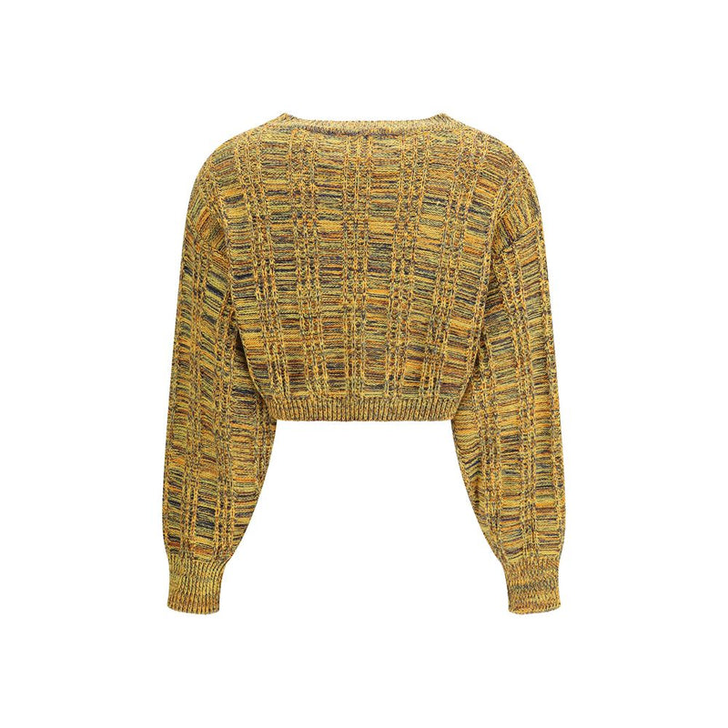 Kristina Ti Multicolor Cotton Groove Crop Sweatshirt