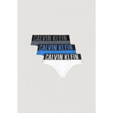 Calvin Klein Underwear HIP BRIEF 3PK - Blue Cotton Briefs