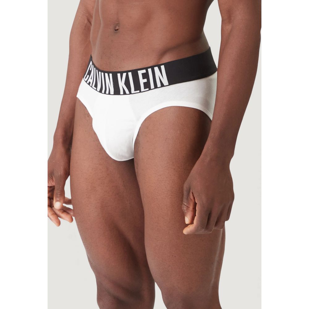 Calvin Klein Underwear HIP BRIEF 3PK - Blue Cotton Briefs