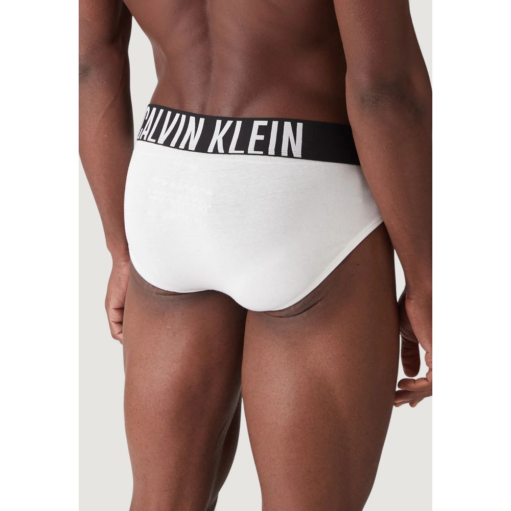 Calvin Klein Underwear HIP BRIEF 3PK - Blue Cotton Briefs