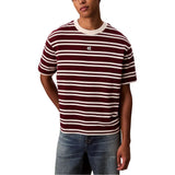 Calvin Klein Jeans Multicolor Cotton T-Shirt - SS HVYWT STRIPE