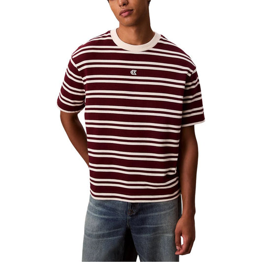Calvin Klein Jeans Multicolor Cotton T-Shirt - SS HVYWT STRIPE