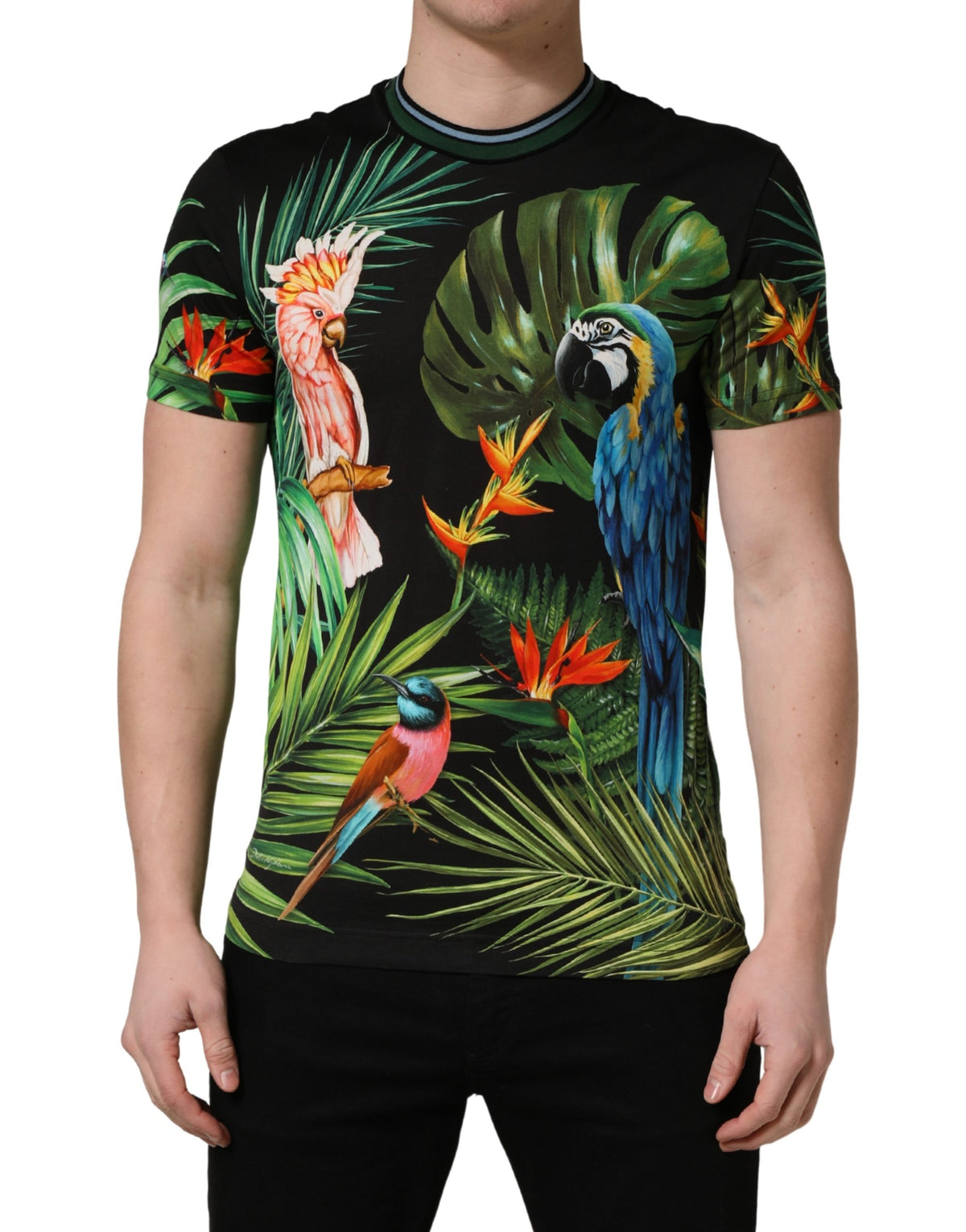 T-shirt Dolce & Gabbana en coton noir à imprimé oiseau pour homme et col rond