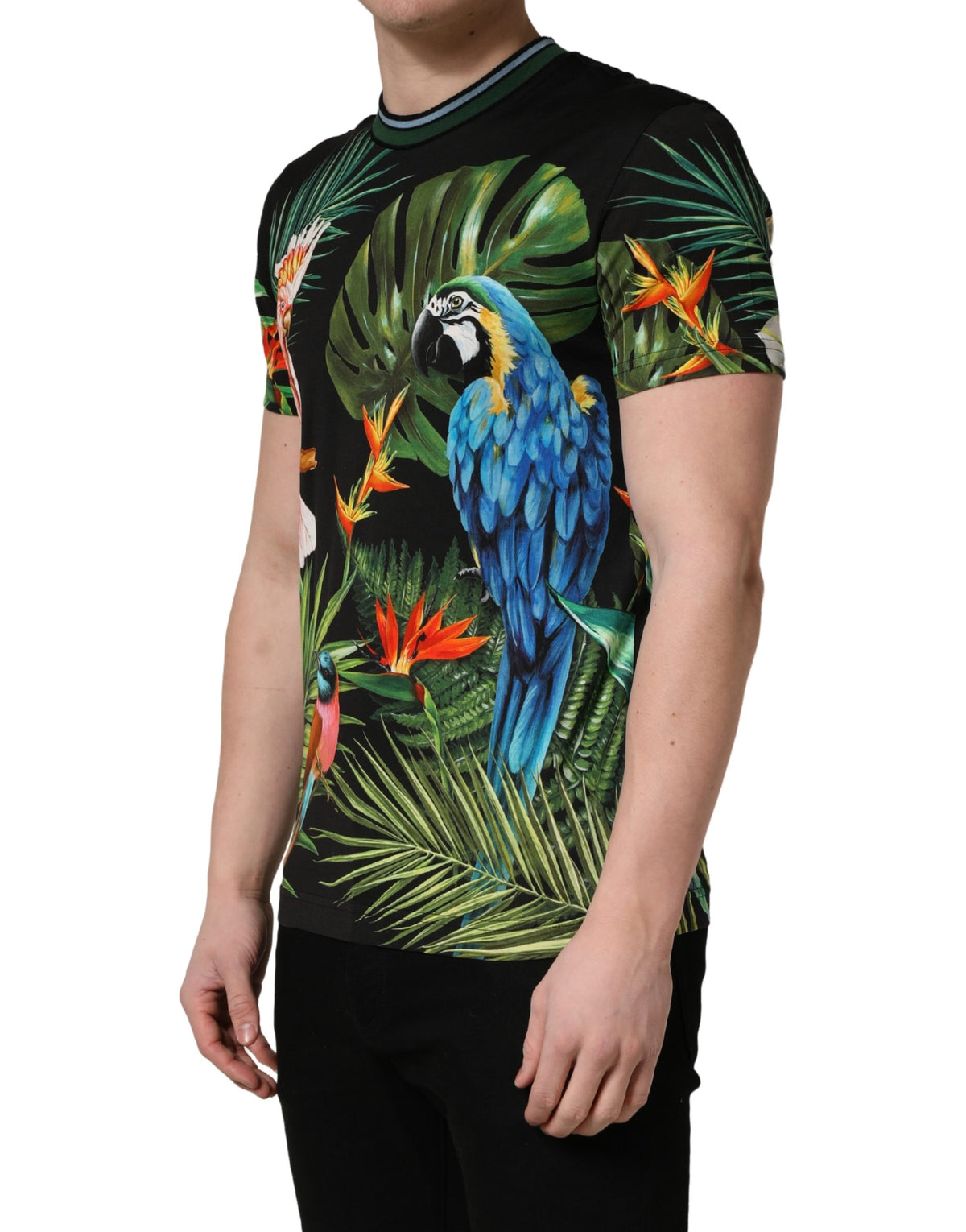 T-shirt Dolce & Gabbana en coton noir à imprimé oiseau pour homme et col rond