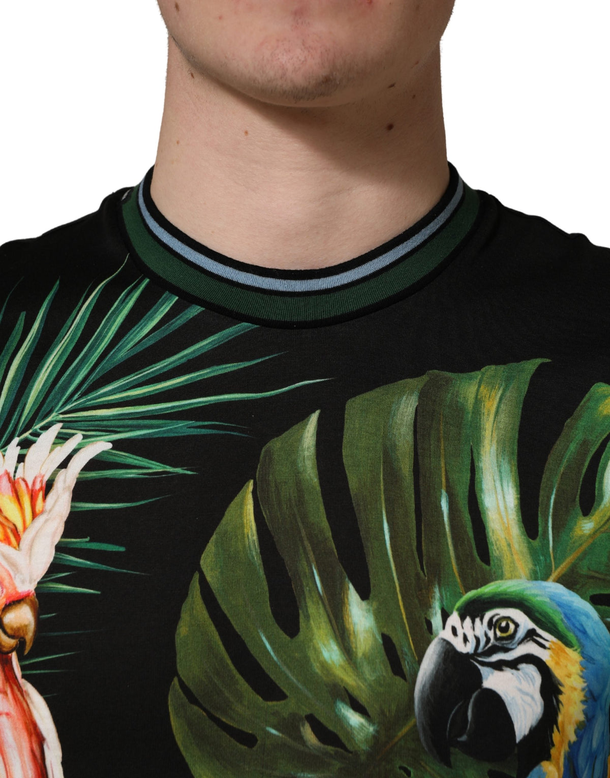 T-shirt Dolce & Gabbana en coton noir à imprimé oiseau pour homme et col rond