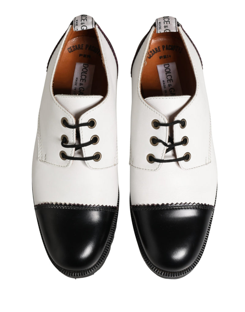Cesare Paciotti Black and White Leather Derby Shoes