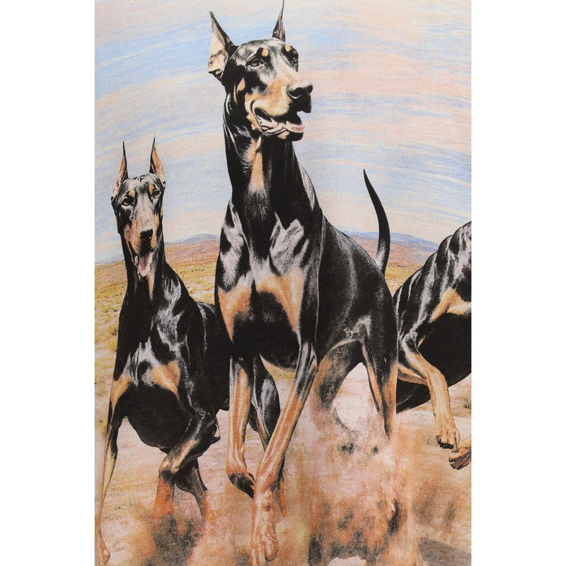 Represent White Cotton Sweatshirt - Western Dobermans Hoodie