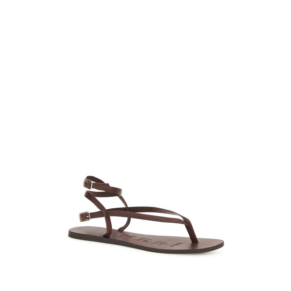 Manebi Brown Calf Leather Bos Taurus Flat Sandals - Women