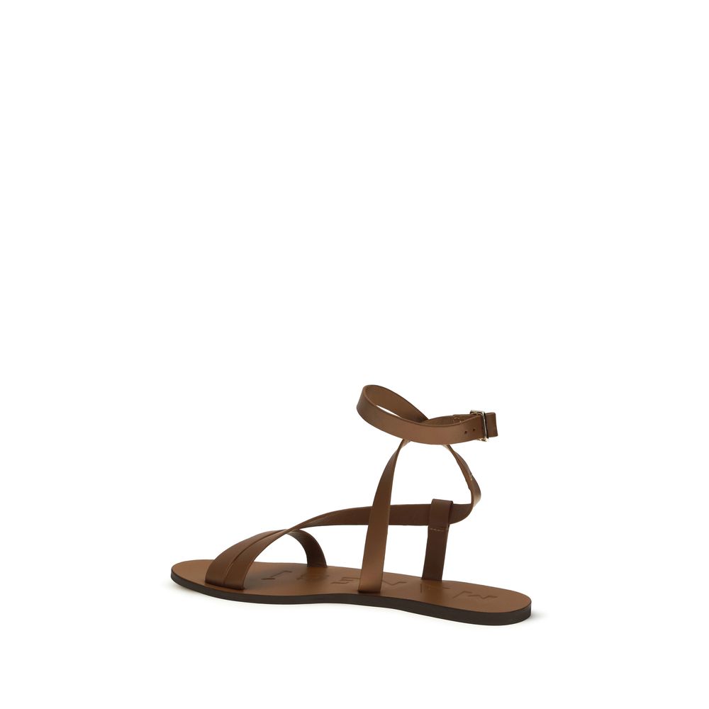 Manebi Brown Calf Leather Bos Taurus Flat Sandals for Women