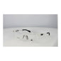Adidas Transparent Plastic Glasses (Frames) - Stylish & Durable