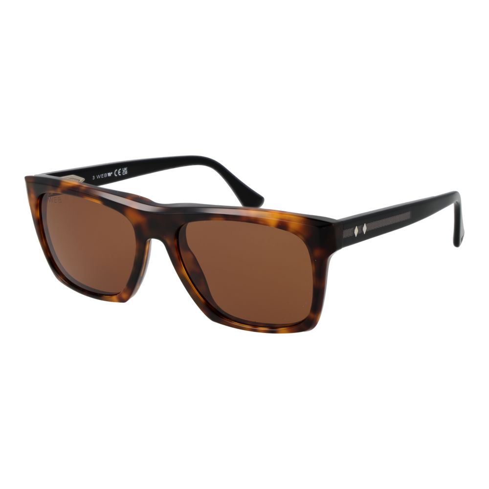 Web Brown Acetate Sunglasses for Men