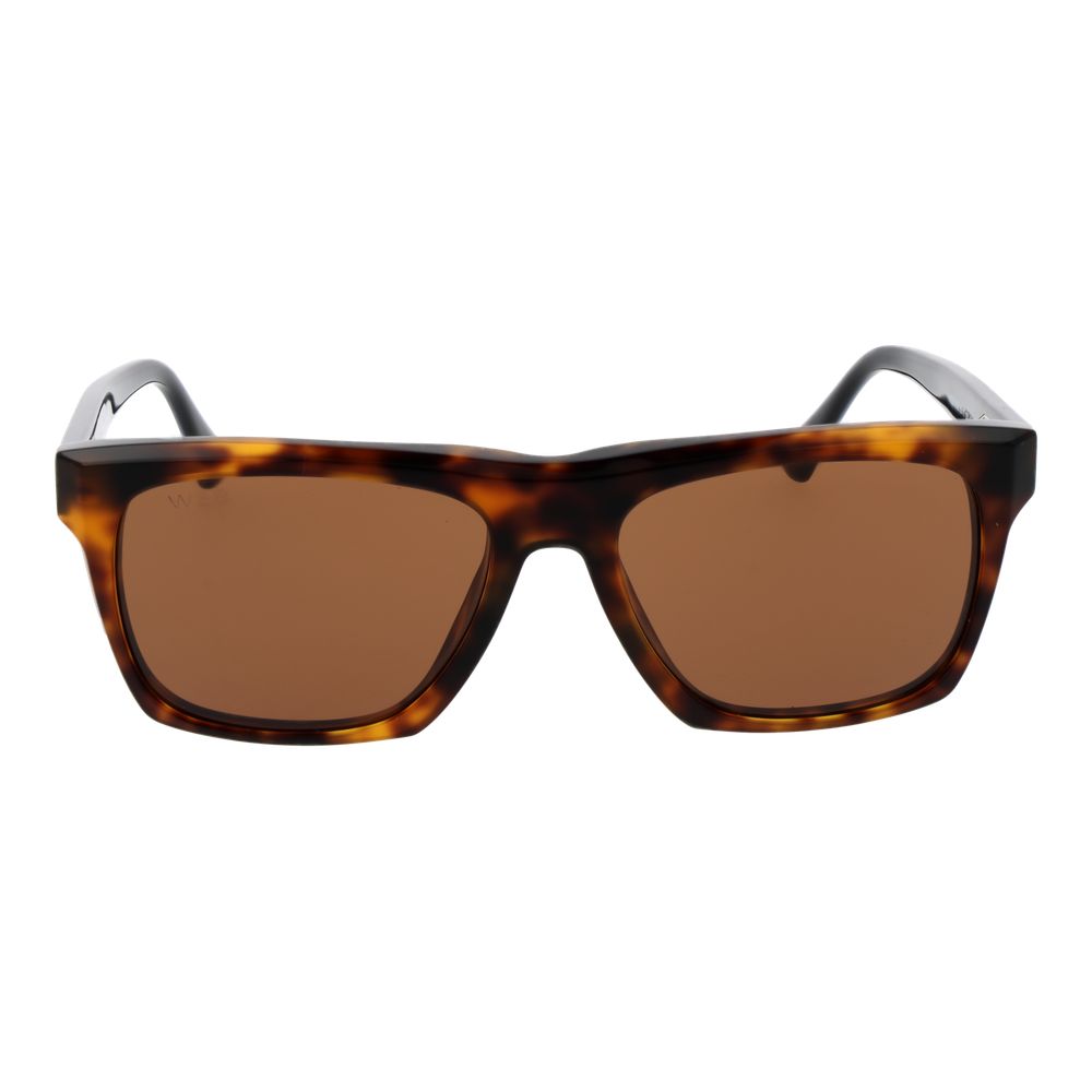 Web Brown Acetate Sunglasses for Men