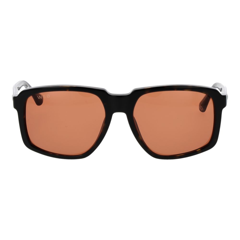 Web Brown Acetate Sunglasses for Men