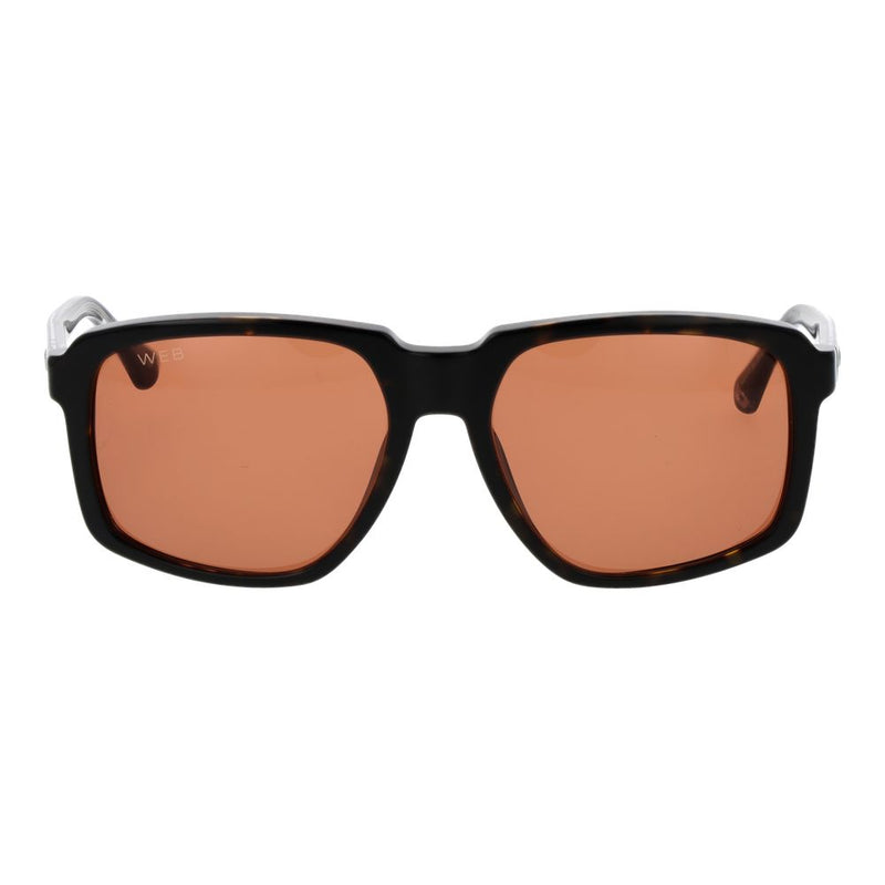 Web Brown Acetate Sunglasses for Men