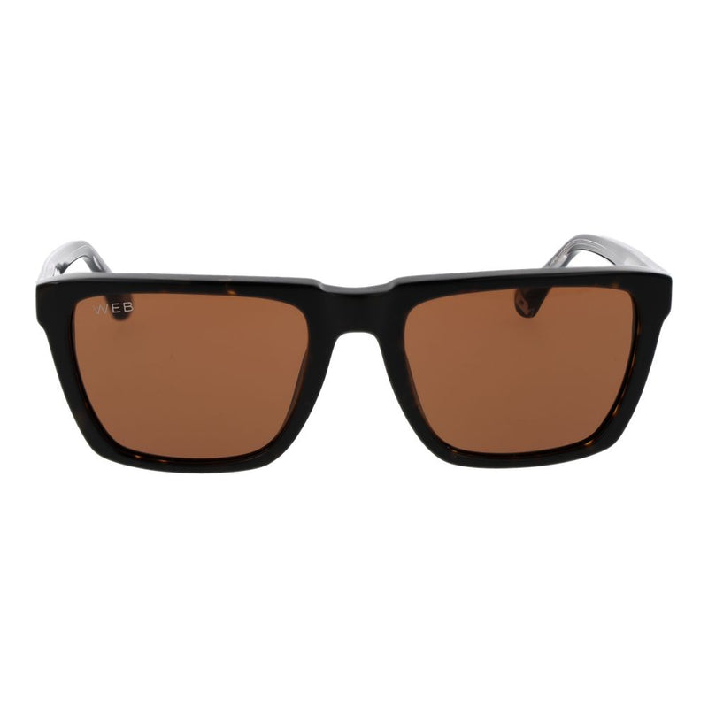 Web Black Acetate Sunglasses for Men