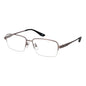 BMW Silver Titanium Glasses (Frames)