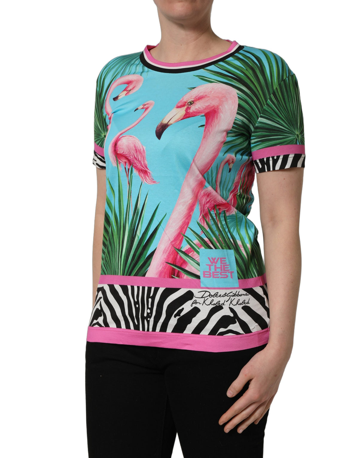Dolce & Gabbana Multicolor Flamingo Zebra-Striped Trim T-shirt