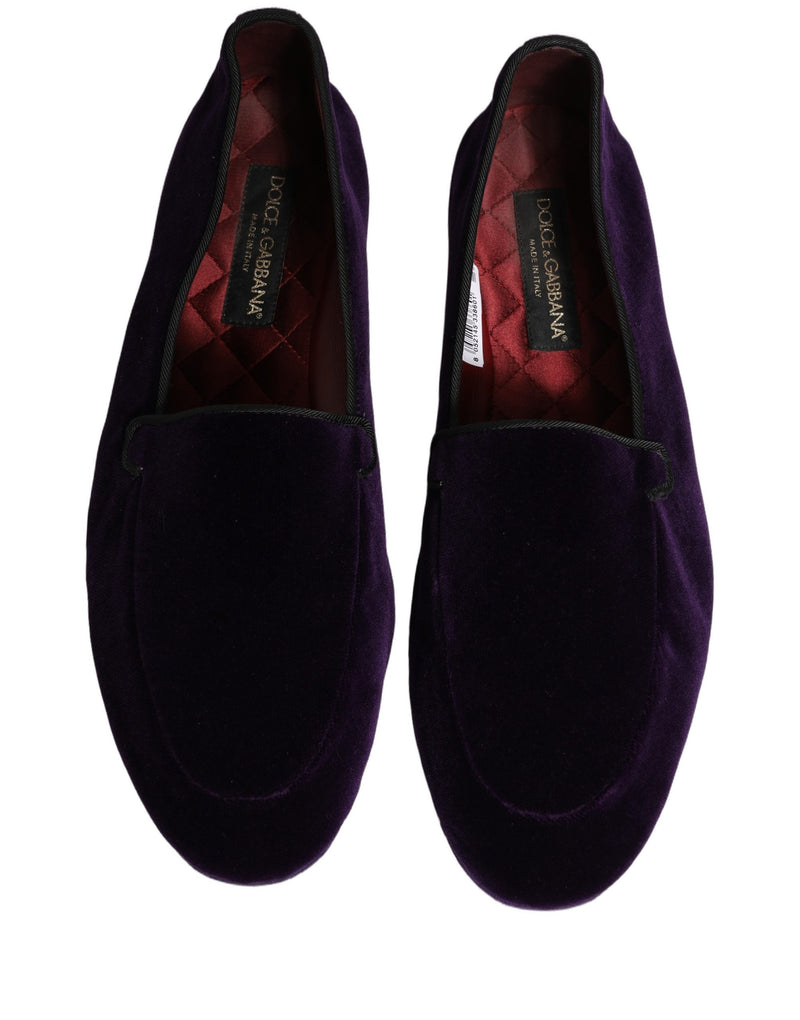 Dolce & Gabbana Violet Velvet Slip-On Loafers for Men