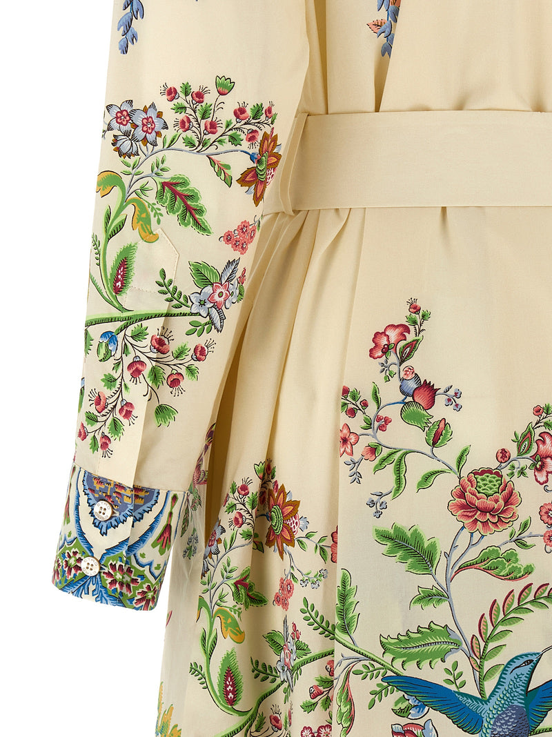 Robe longue en coton multicolore Etro