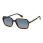 Polaroid Brown Polycarbonate Sunglasses