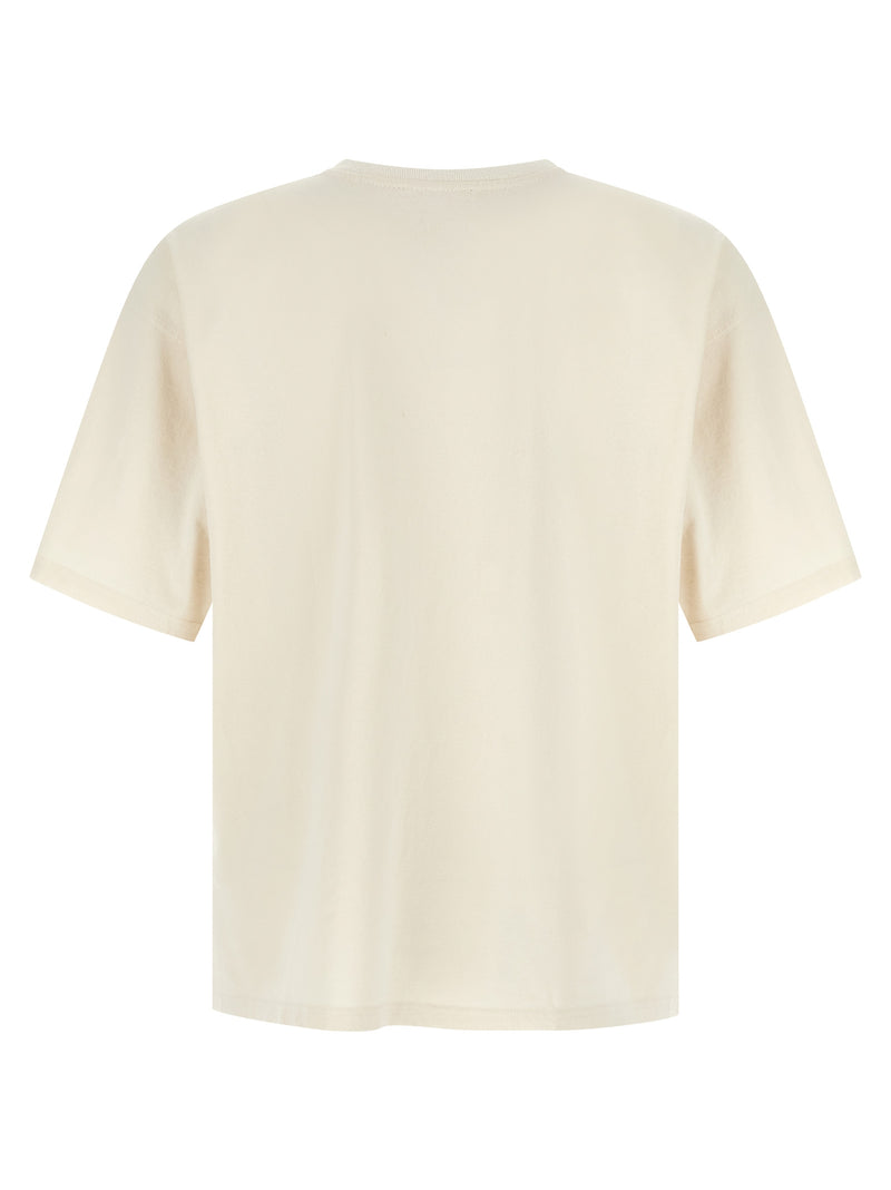 Diesel T-Boxt-N14 Bicolor Cotton T-Shirt for Men