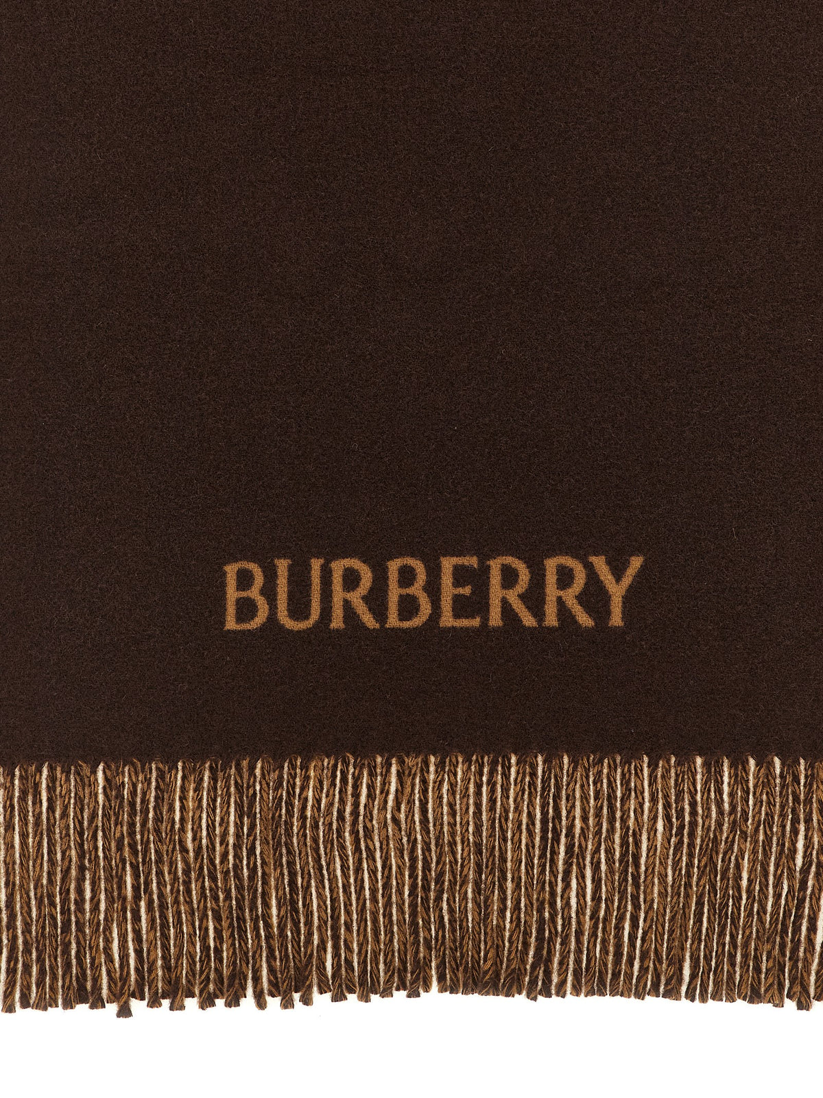 Burberry Multicolor Cashmere Scarf